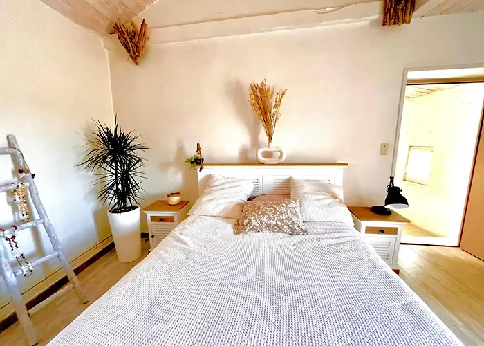 La Maison Du Bougainvillier 10 Personnes