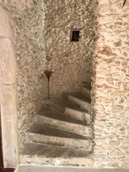 La Maison Du Bougainvillier 10 Personnes