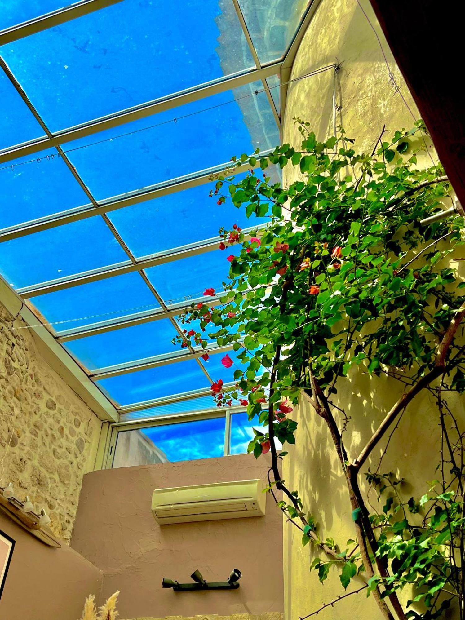 Villa La Maison Du Bougainvillier 10 Personnes